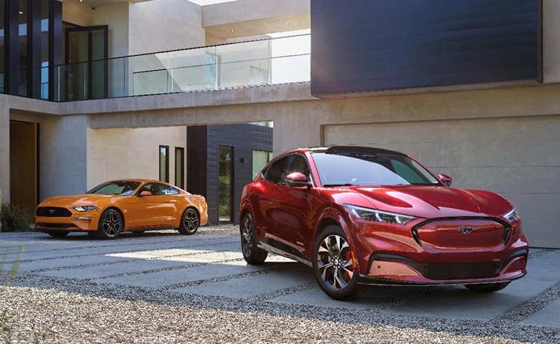 Orange Mustang and Red Mustang Mache at modern home